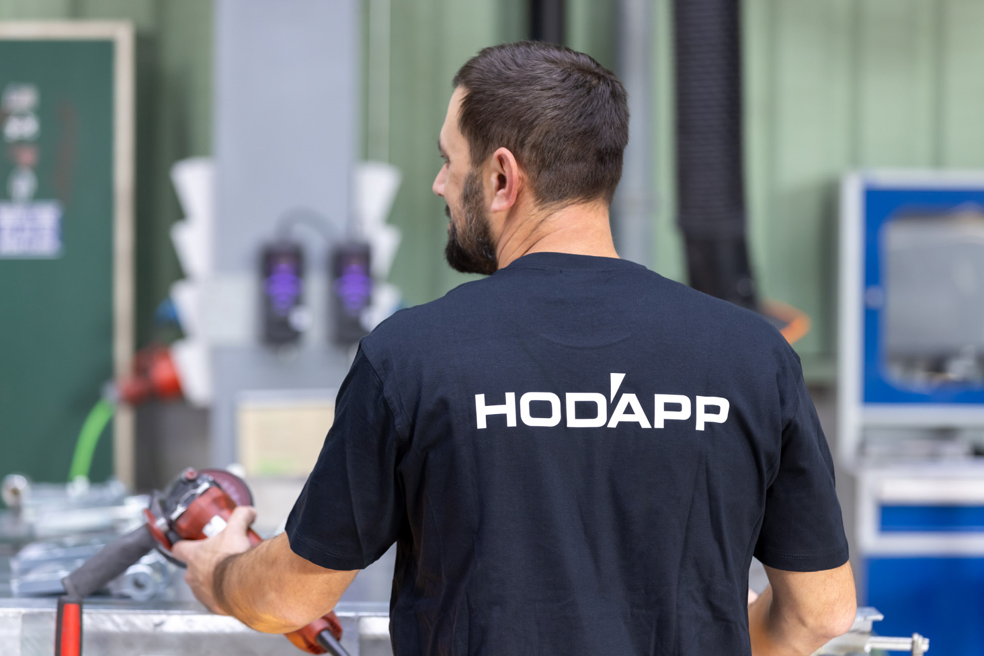 Hodapp Pdf Über Hodapp